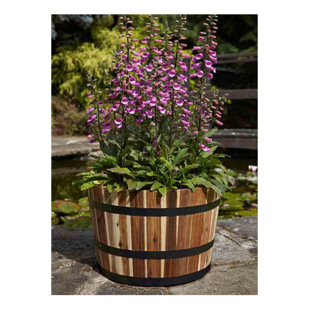 Tom Chambers Applewood Barrel Planter - Large